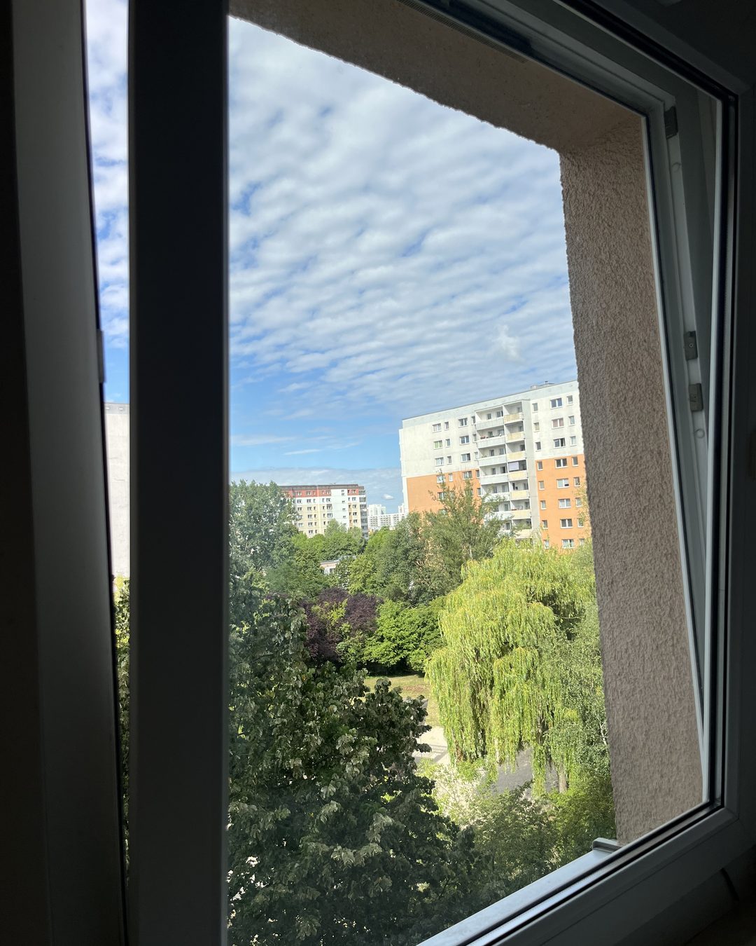 Fenster in Berlin nach der Reinigung durch Nautilus Facility Cleaning, streifenfrei
